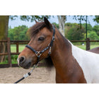 HB Ruitersport Licol Showtime Leather Rivet Swarovski Noir/marine