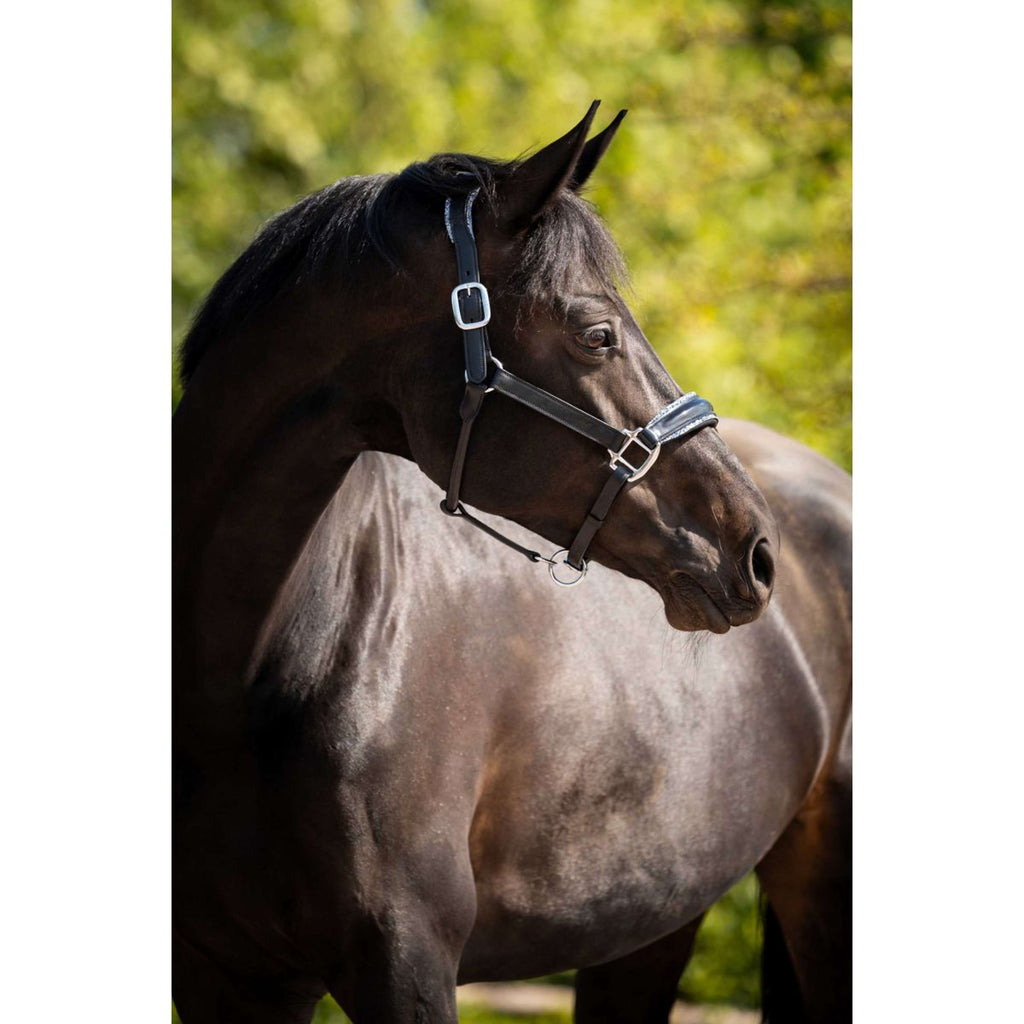 HB Ruitersport Licol Showtime Grand Slam Noir/Aqua Blue