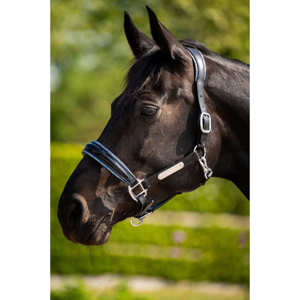 HB Ruitersport Licol Showtime Grand Slam Noir/Aqua Blue