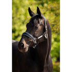 HB Ruitersport Licol Showtime Grand Slam Noir/Aqua Blue