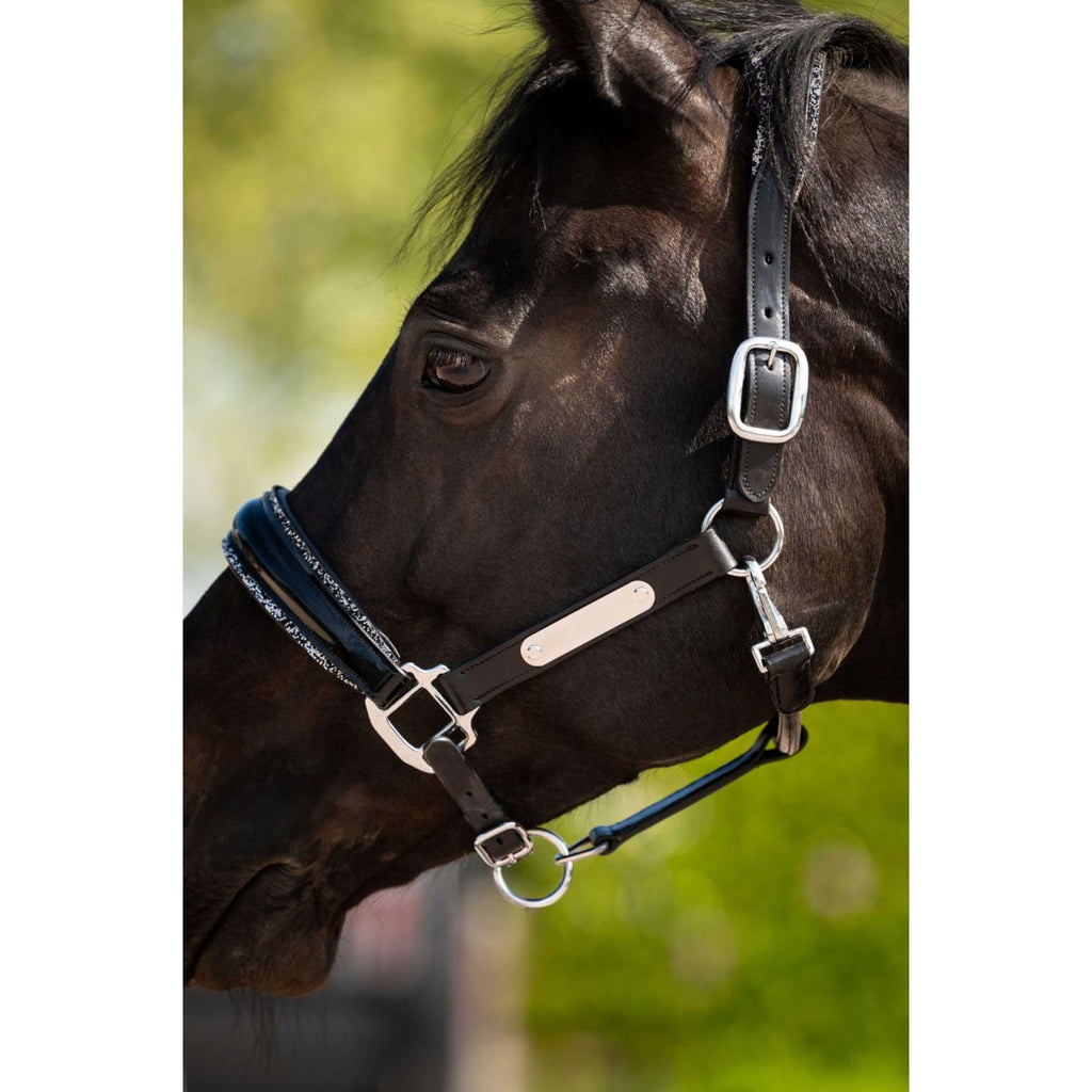 HB Ruitersport Licol Showtime Grand Slam Noir/Argent