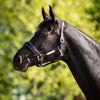 HB Ruitersport Licol Showtime Grand Slam Noir/Argent