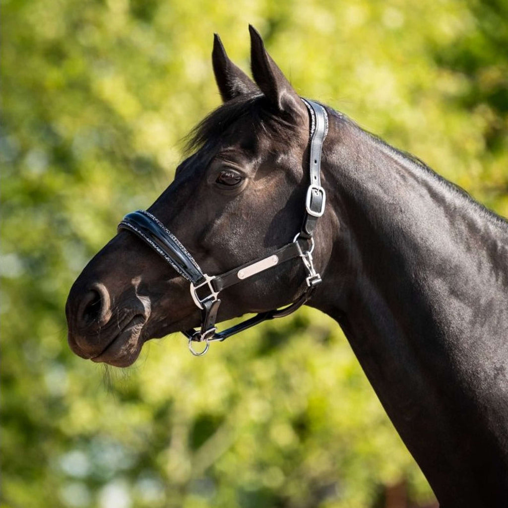HB Ruitersport Licol Showtime Grand Slam Noir/Argent