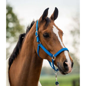 HB Showtime Ensemble Licol Tropical Velvet Turkish Blue