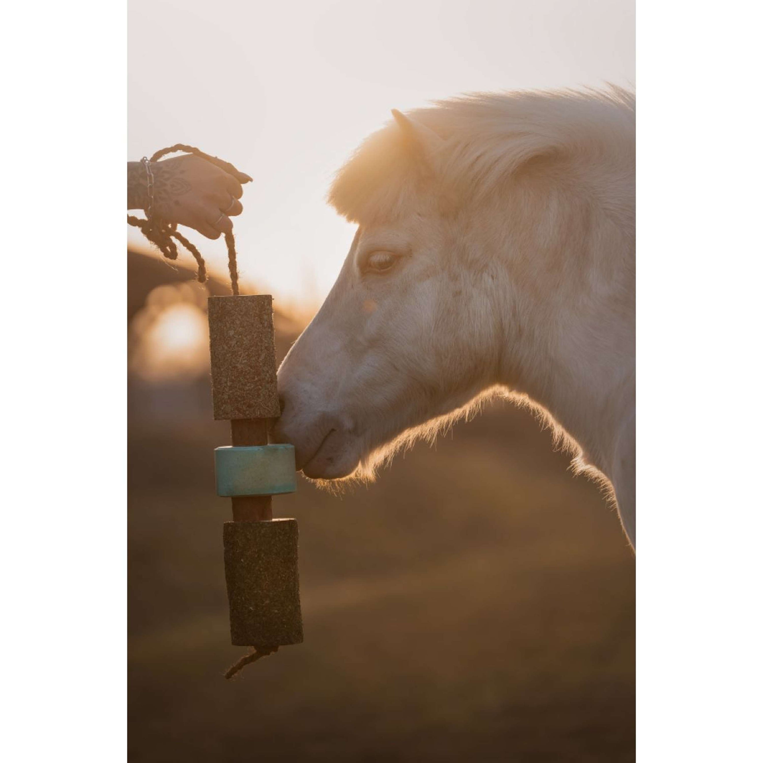 Herbie Jouet en bois à base de plantes Breath
