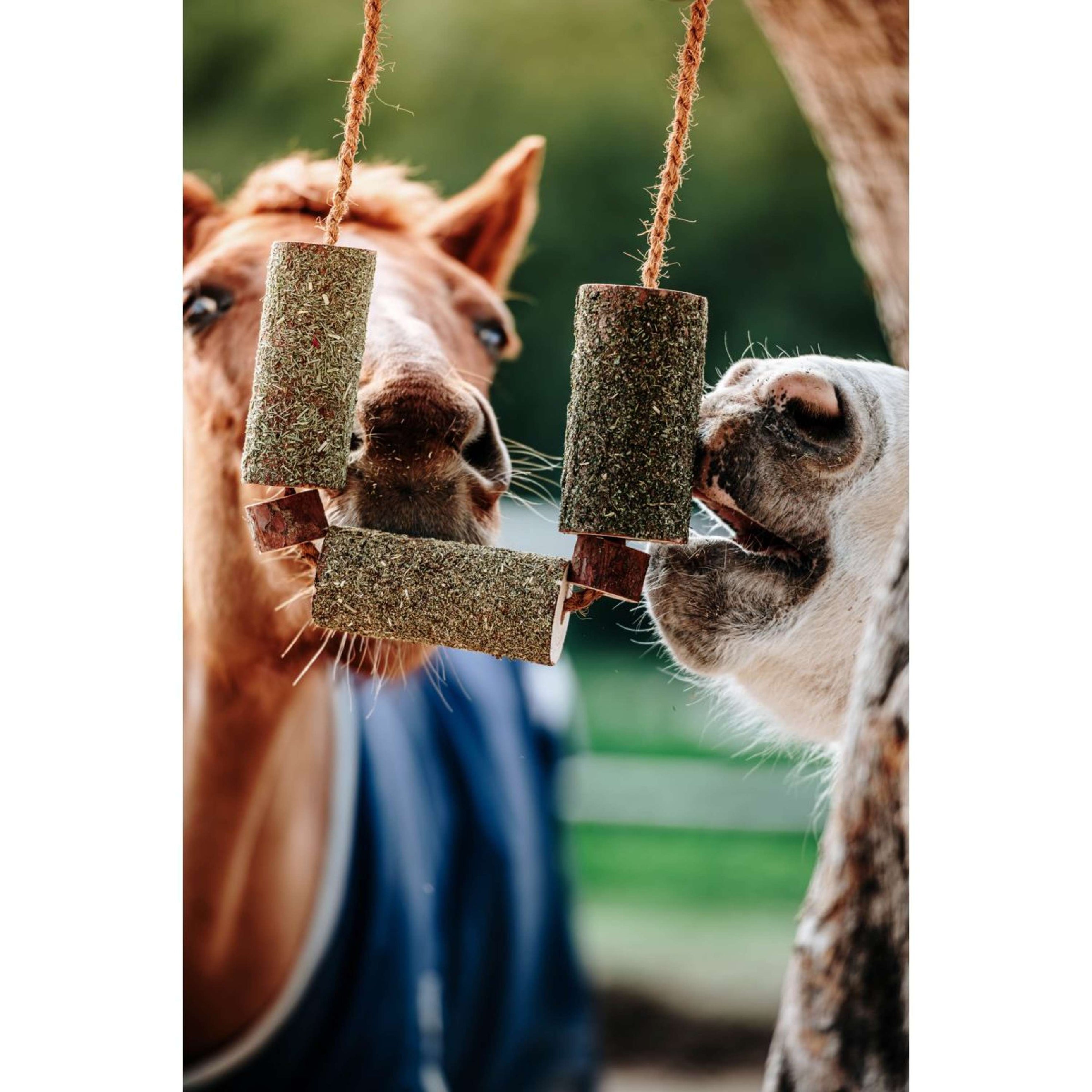 Herbie Jouet en bois à base de plantes Calm