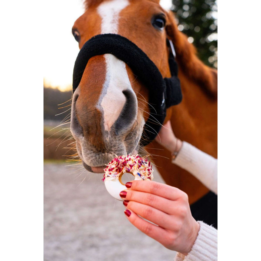Candy Horse Love Beignets Hibiscus & Rosehip