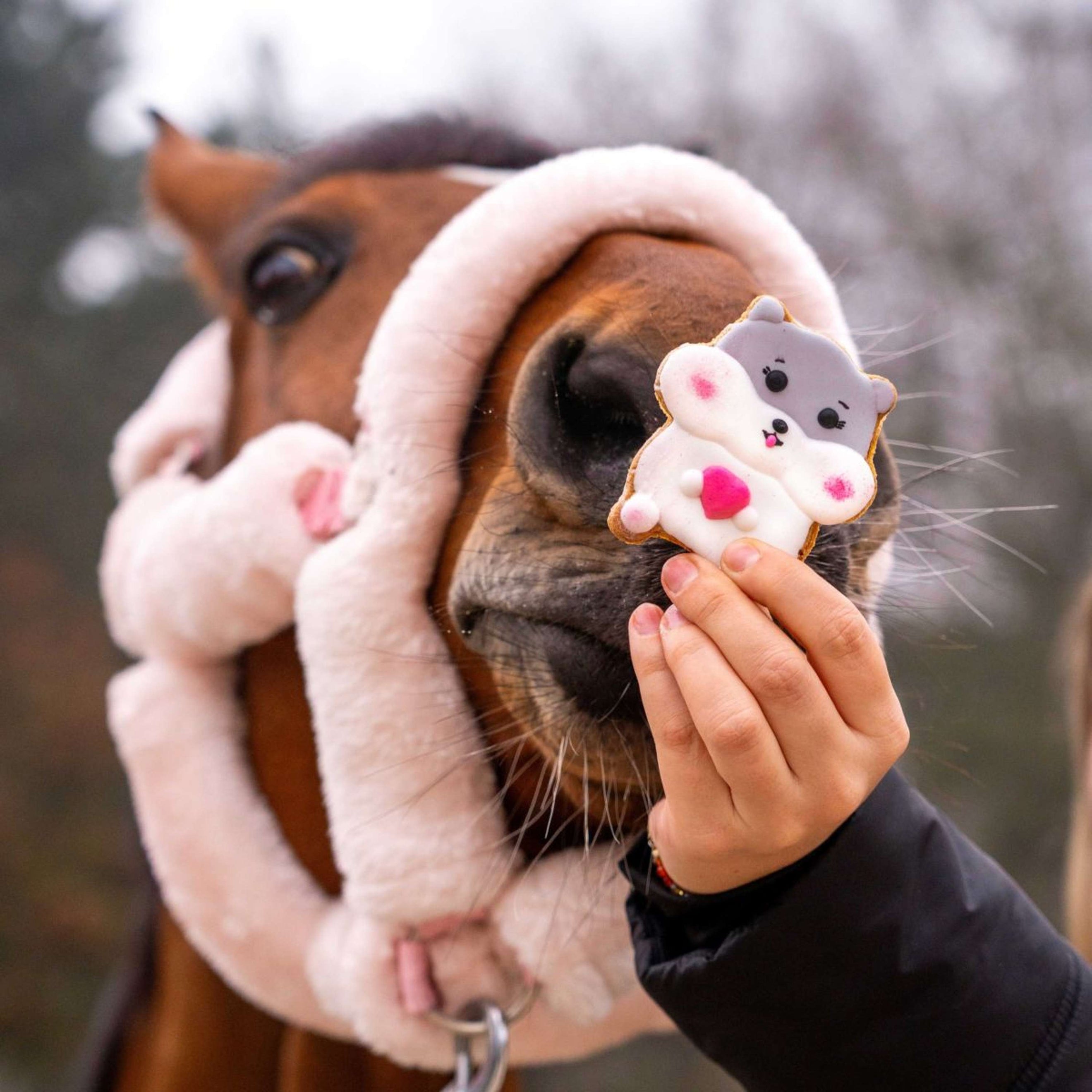 Candy Horse Love Cookie Hamster Candy Horse Love Cookie Hamster
