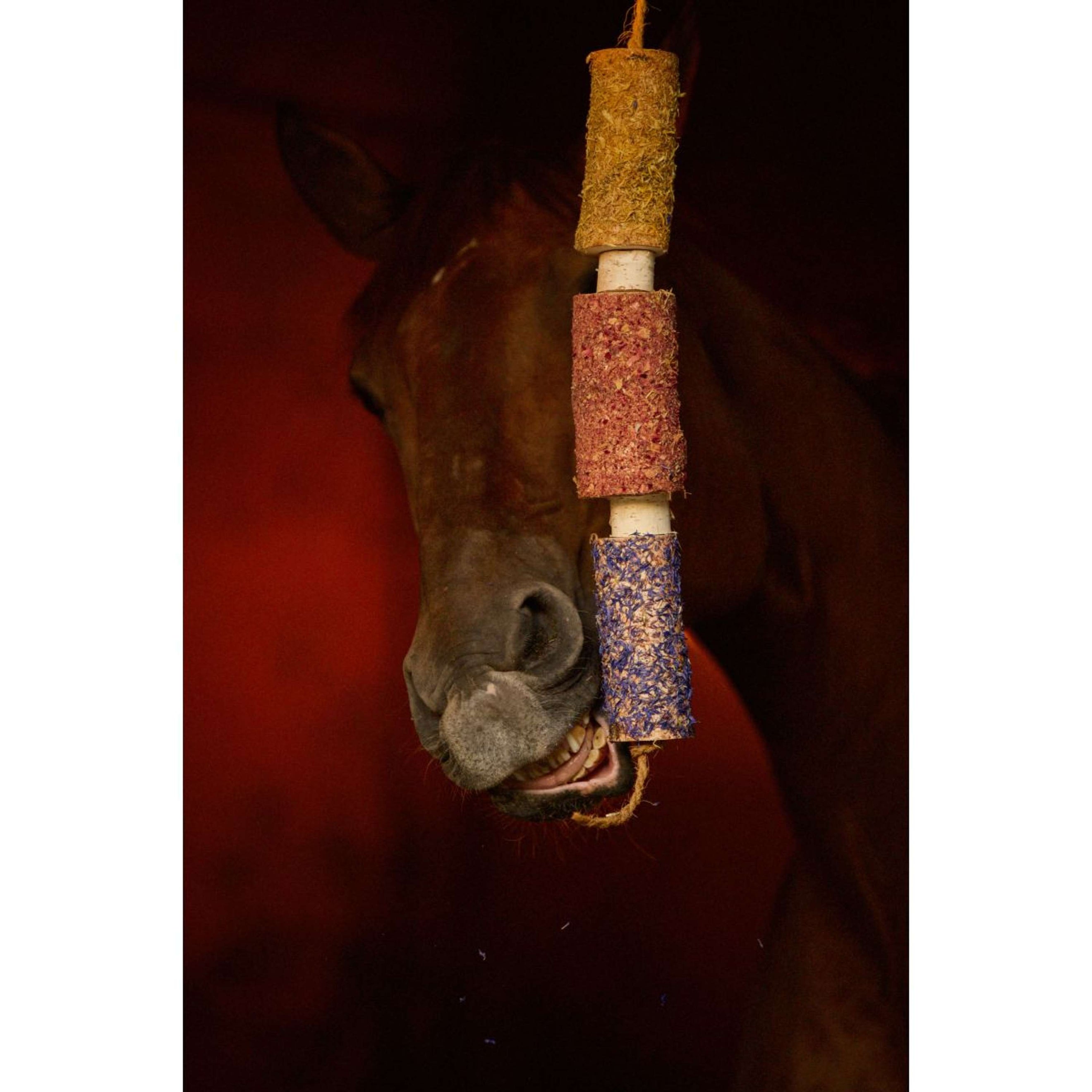 Herbie Jouet en bois à base de plantes Happiness