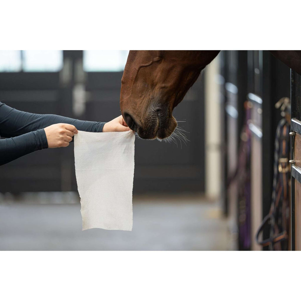HB HorseWipes Natural Clean Blanc