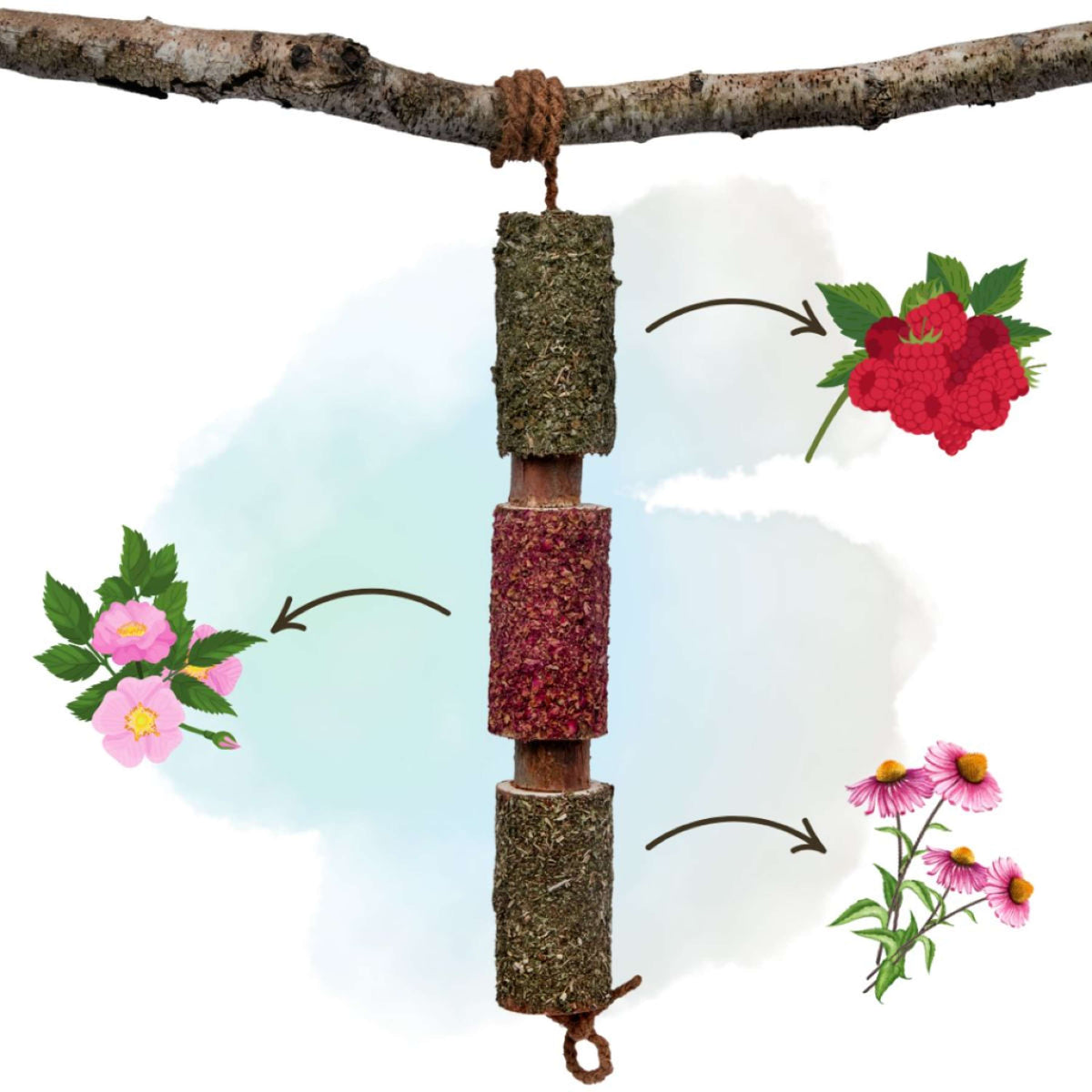 Herbie Jouet en bois à base de plantes Immunity