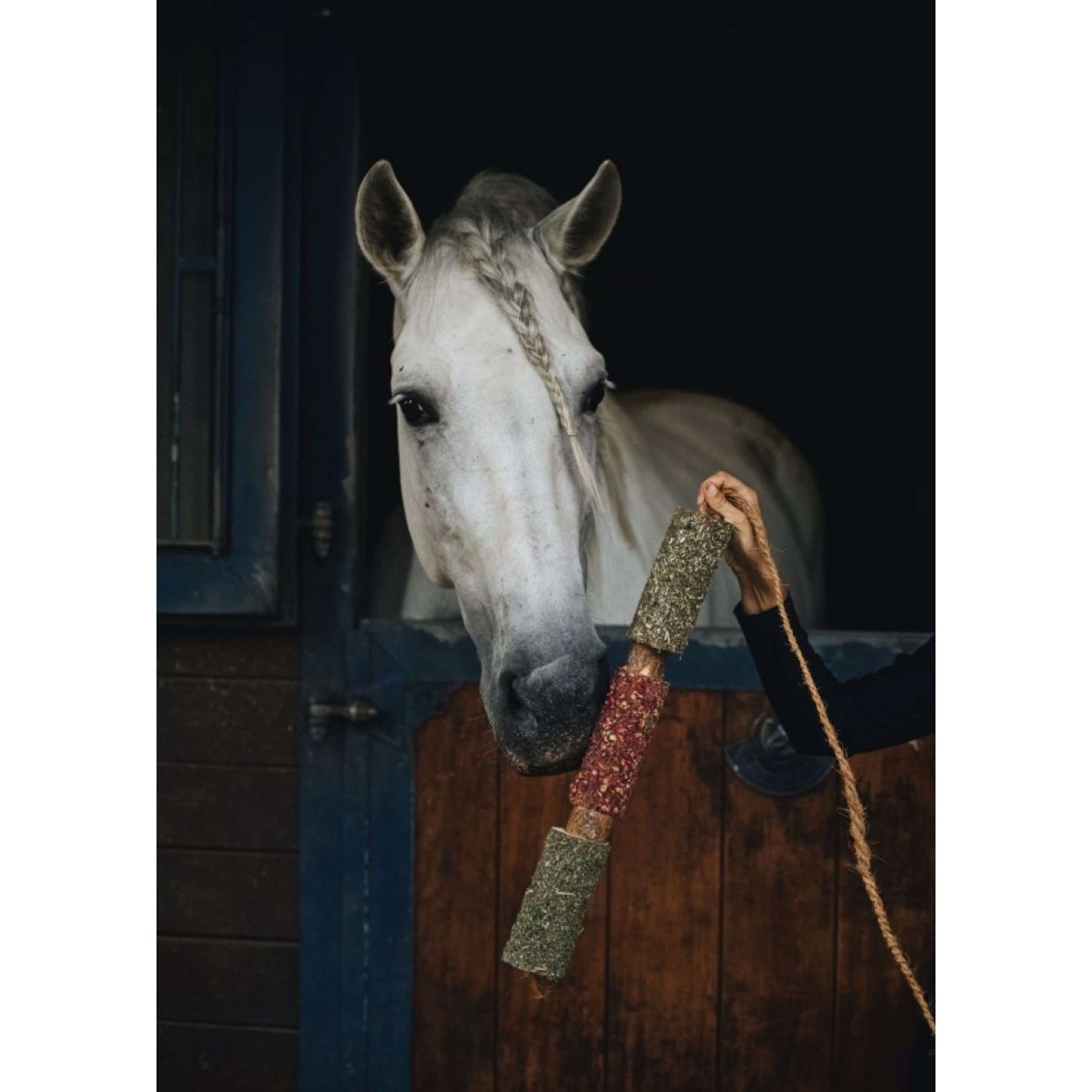 Herbie Jouet en bois à base de plantes Immunity
