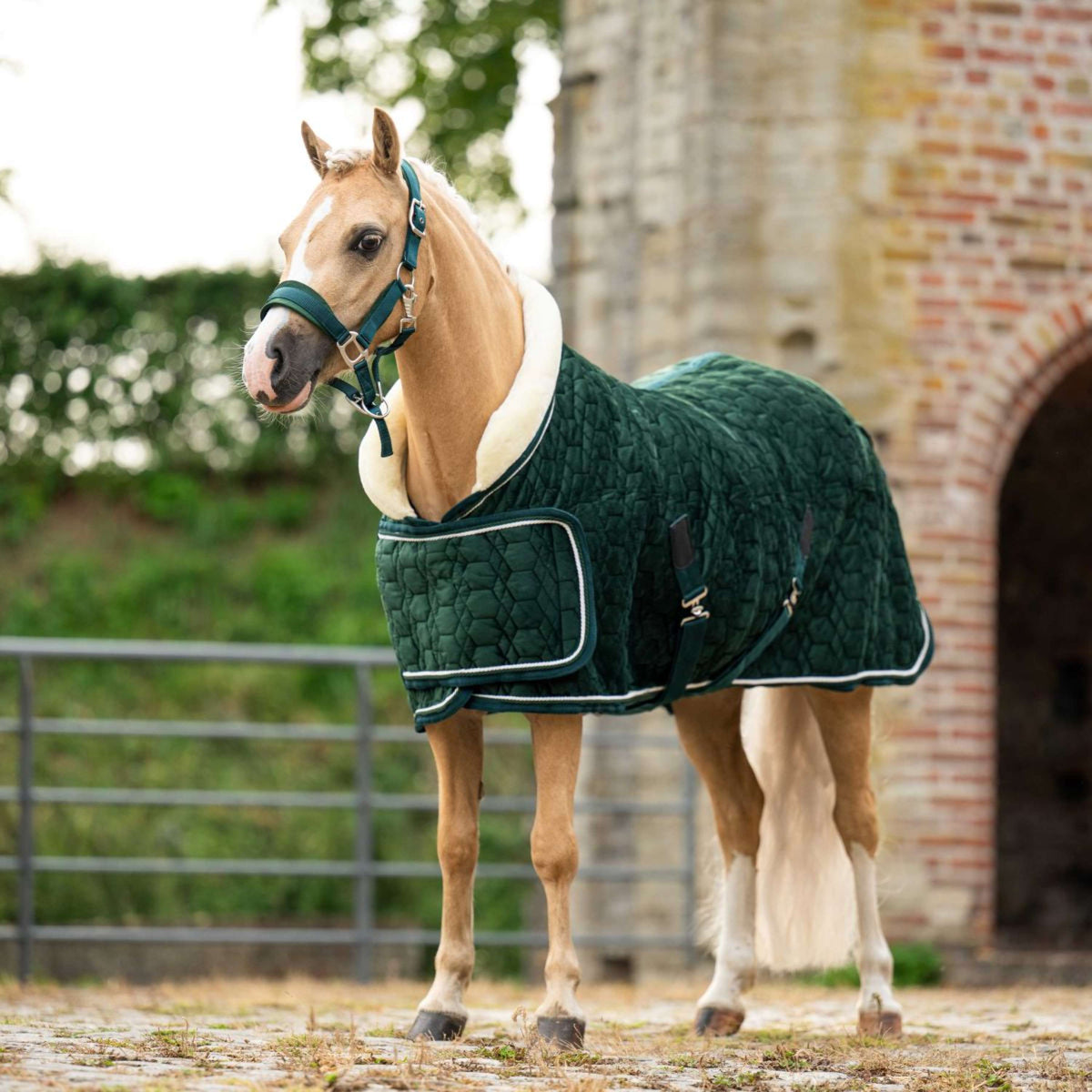 HB Ruitersport Couverture de Concours Special Peach Forest Green