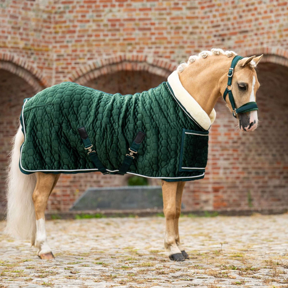 HB Ruitersport Couverture de Concours Special Peach Forest Green