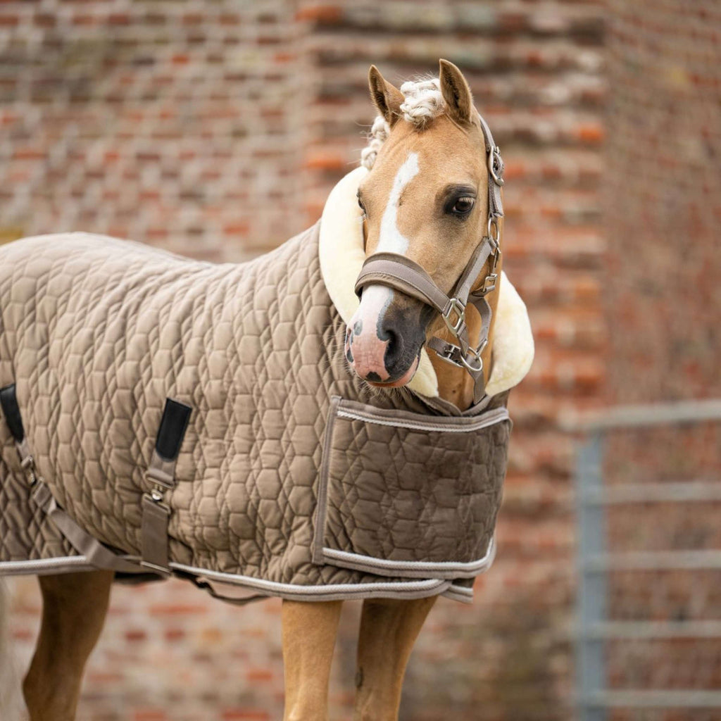 HB Ruitersport Couverture de Concours Special Peach Taupe