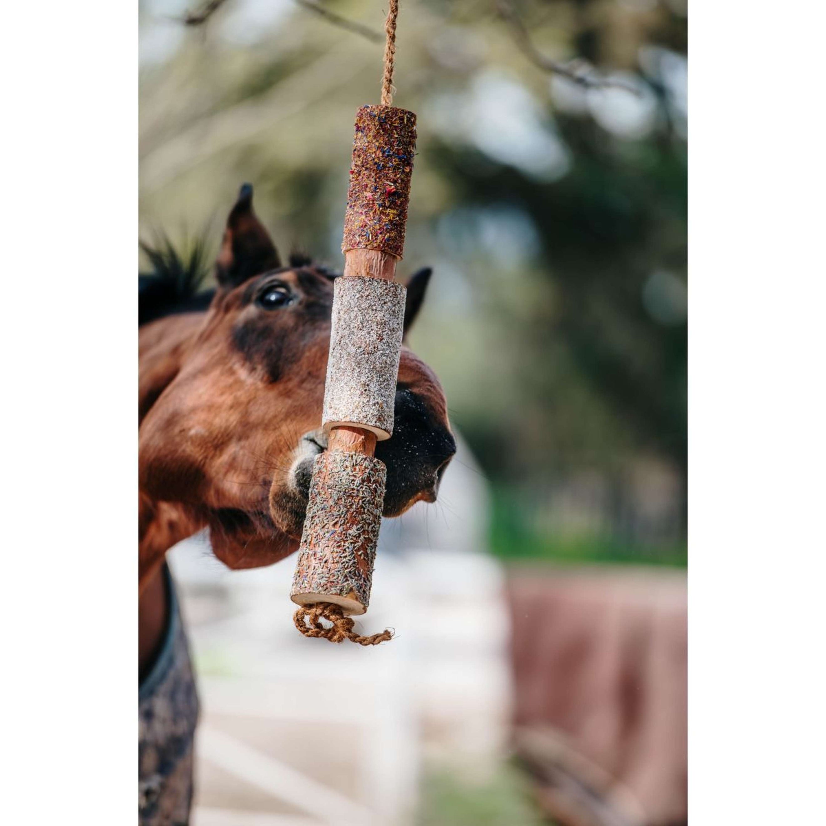 Herbie Jouet en bois à base de plantes Relax Herbie Jouet en bois à base de plantes Relax