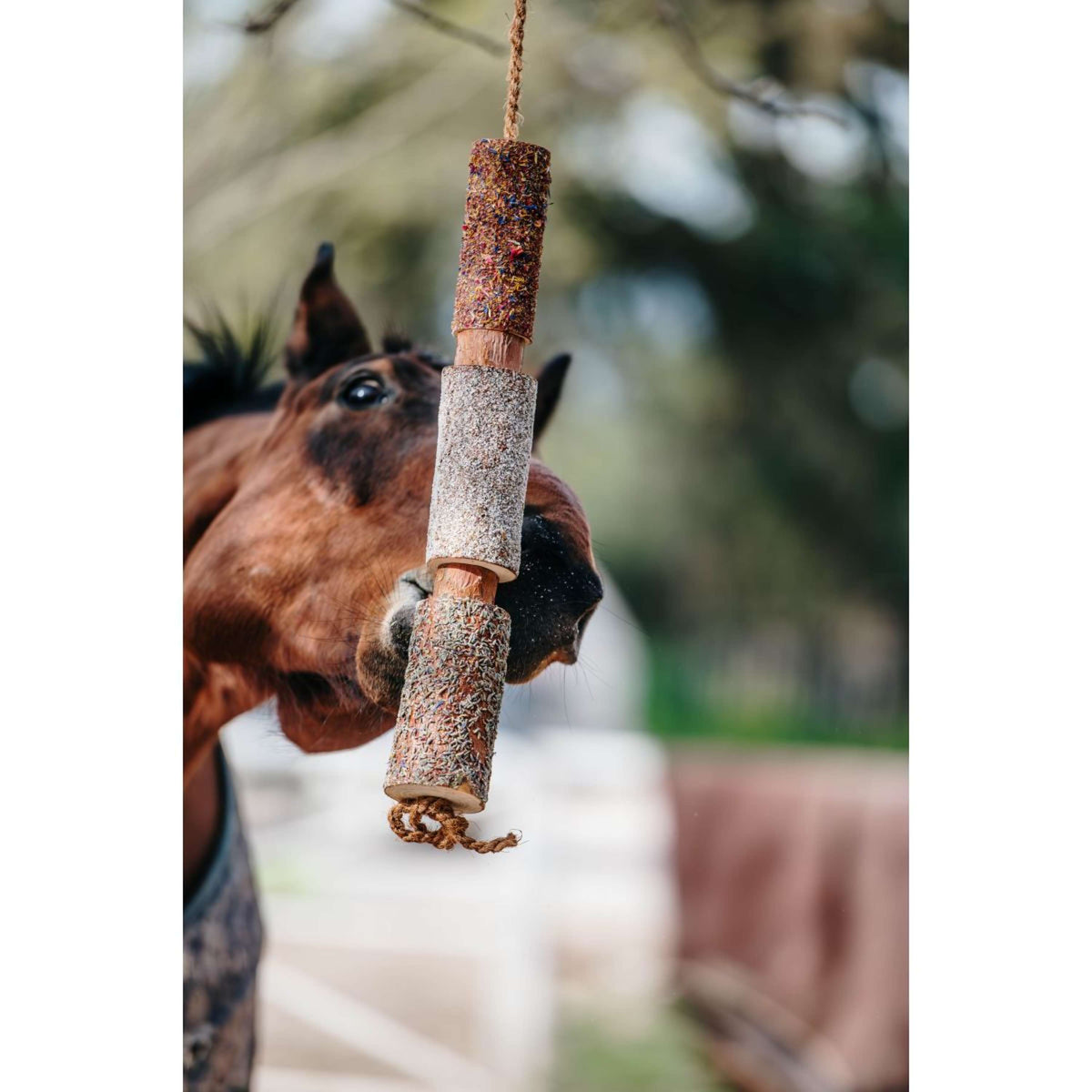 Herbie Jouet en bois à base de plantes Relax