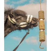 Herbie Jouet en bois à base de plantes Regeneration