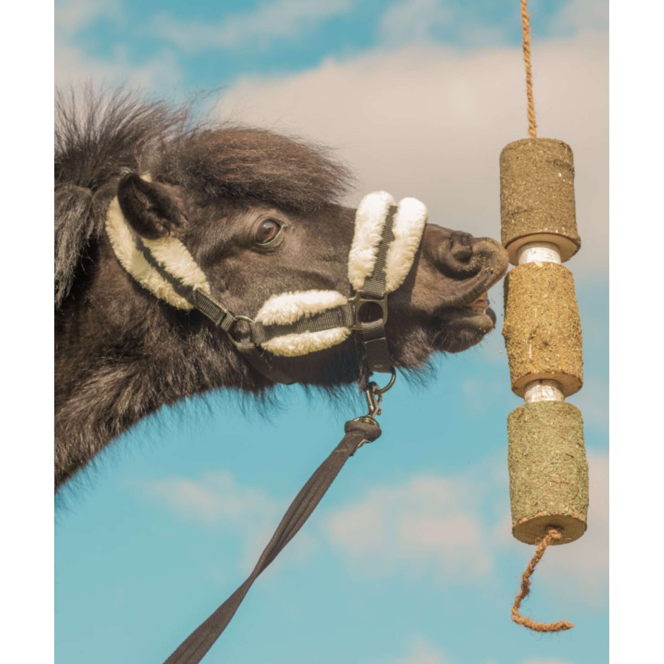 Herbie Jouet en bois à base de plantes Regeneration
