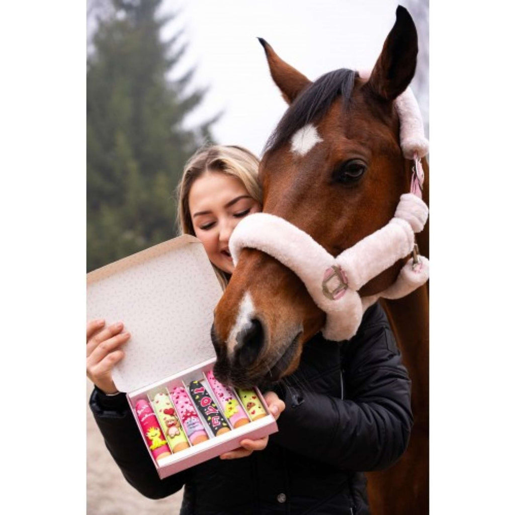 Candy Horse Love Cookies Icing Sticks