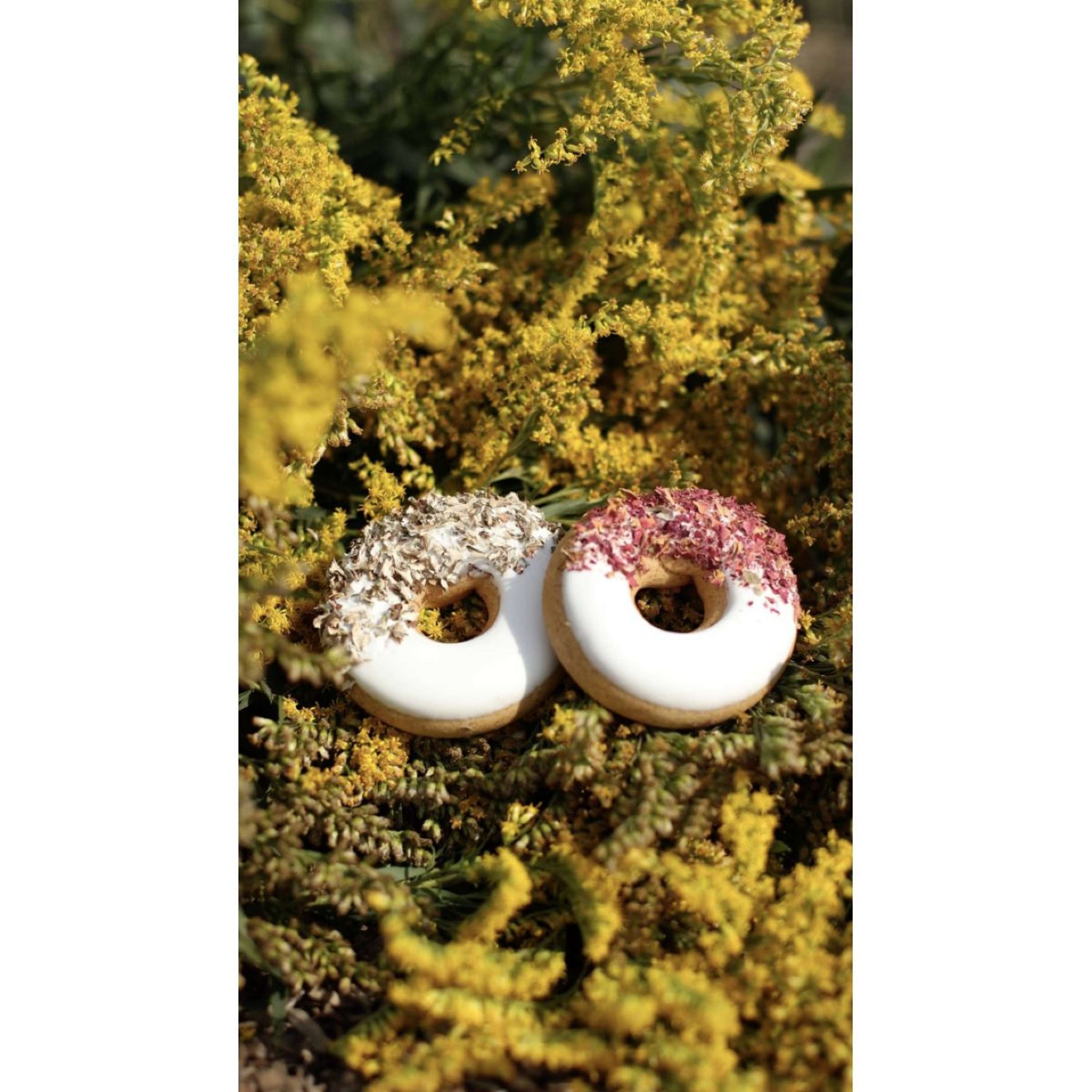 Candy Horse Donut Rose petals/Iceland moss Candy Horse Donut Rose petals/Iceland moss