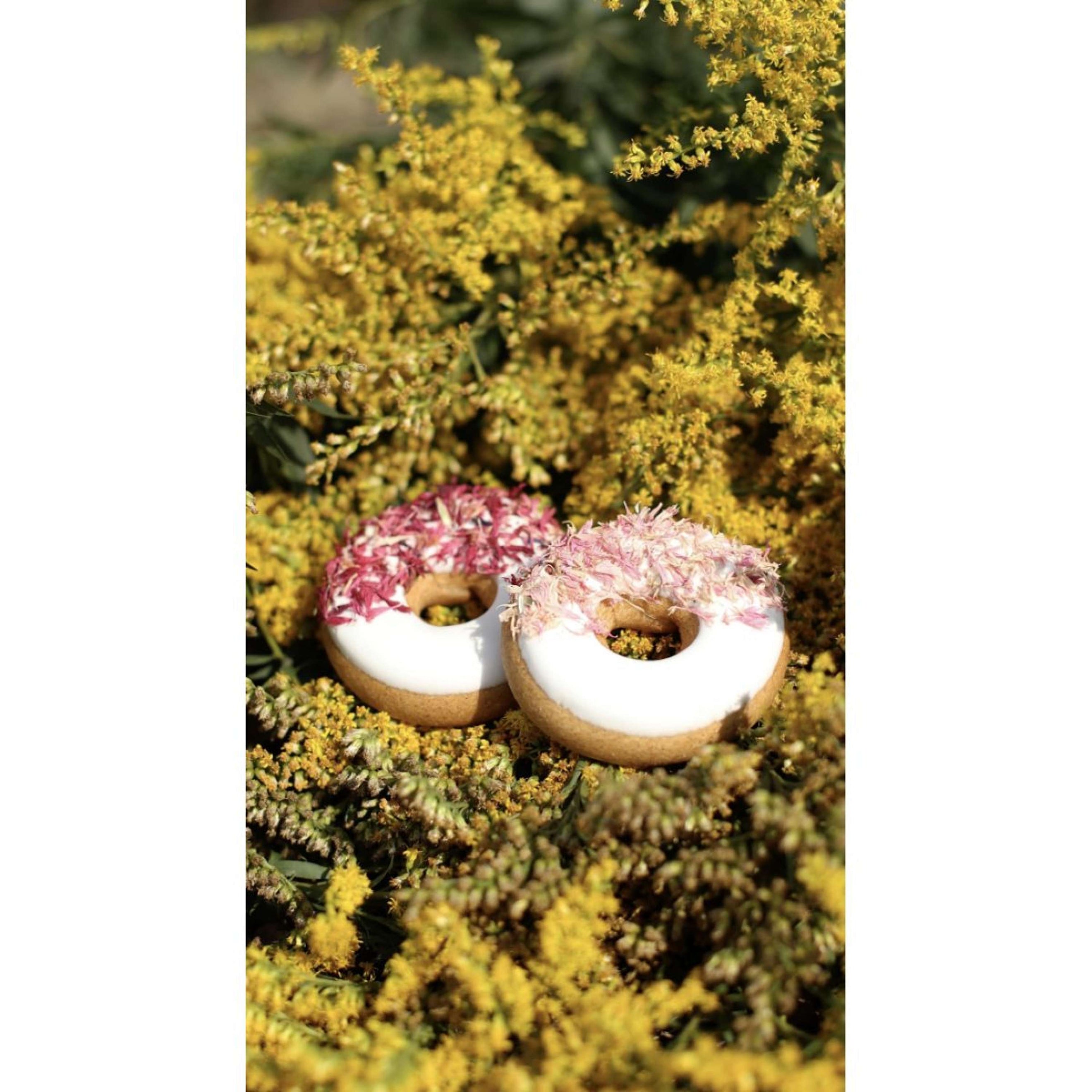 Candy Horse Donut Pink Cornflower Candy Horse Donut Pink Cornflower