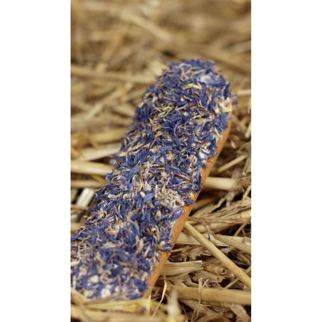 Candy Horse Cookies Cornflower Eclair