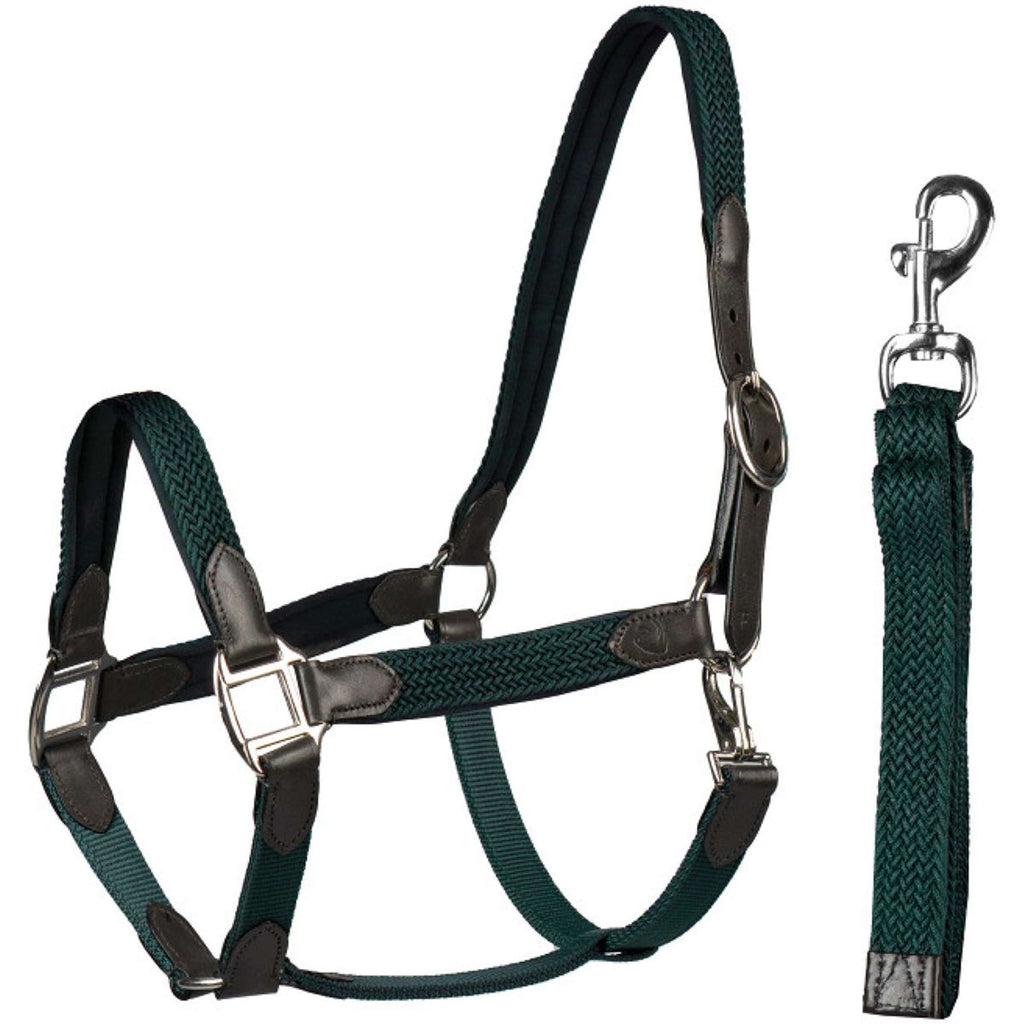 HORKA Ensemble Licol Cuir avec nylon tressé Marron Vert