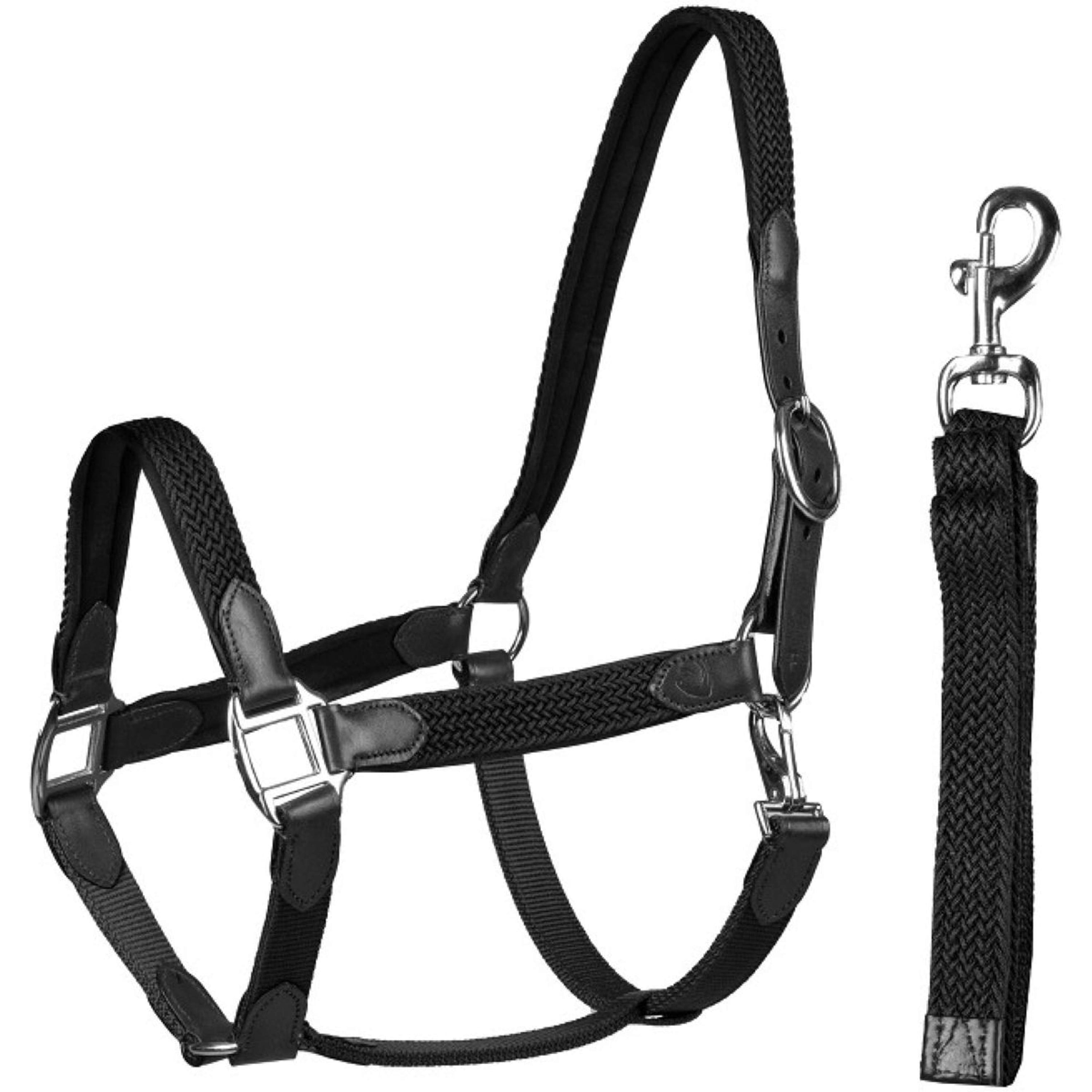 HORKA Ensemble Licol Cuir avec nylon tressé Noir
