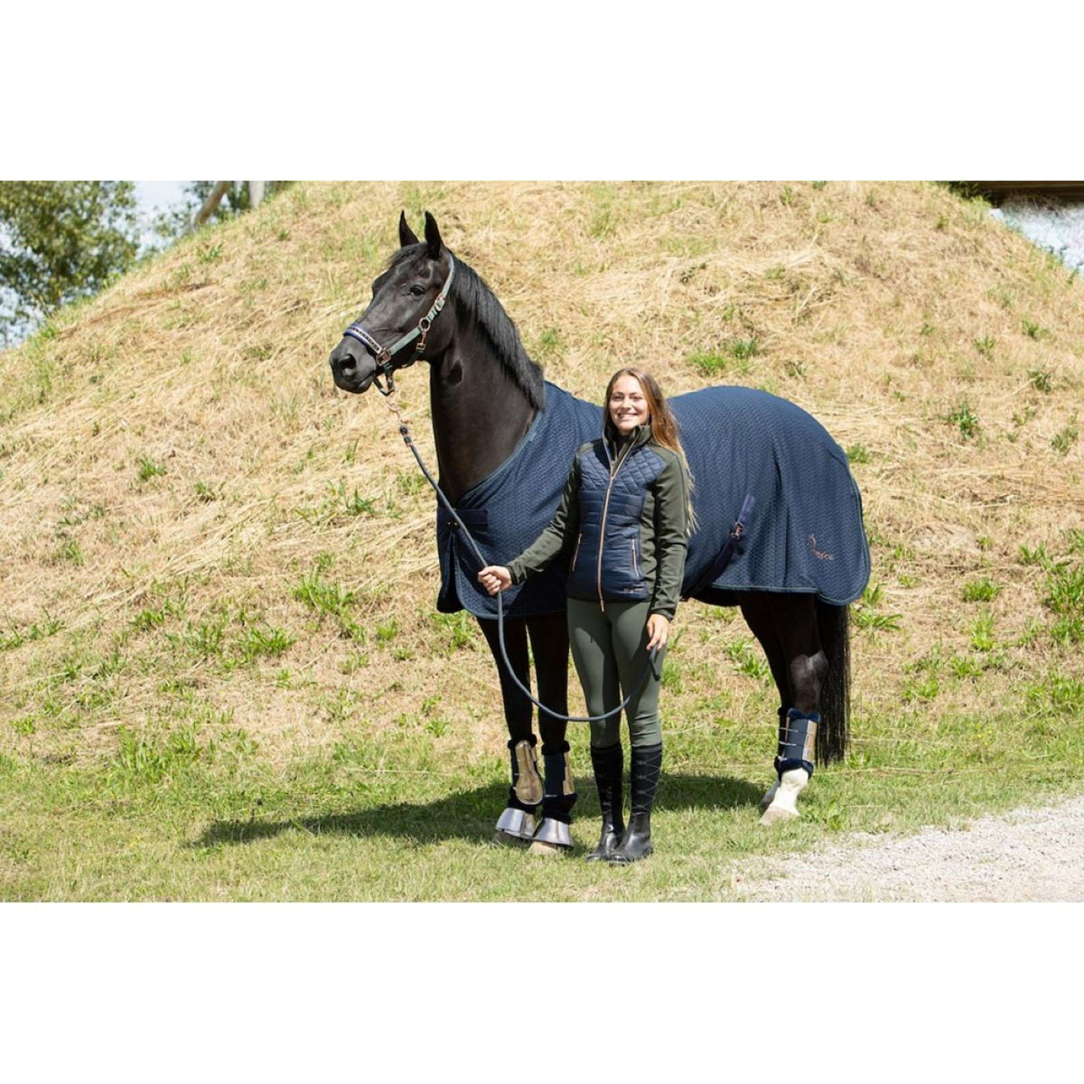 Harry's Horse Blouson Denici Cavalli Bosque Marin