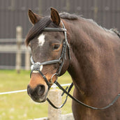 Harry's Horse Bride Mexicaine Noir