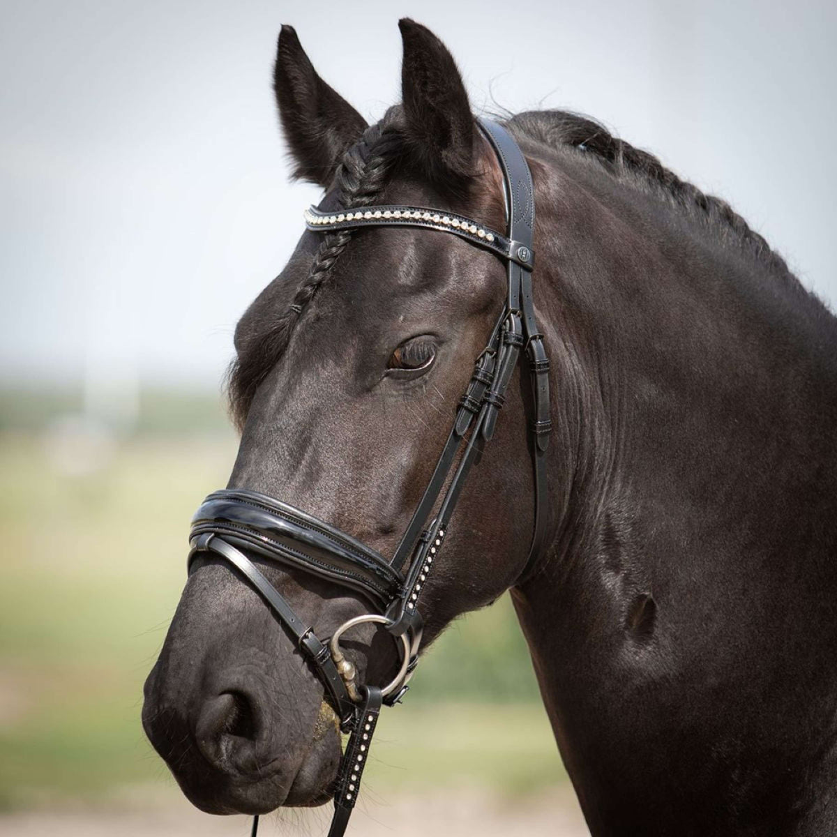 Harry's Horse Bride Diamond Lacque Noir