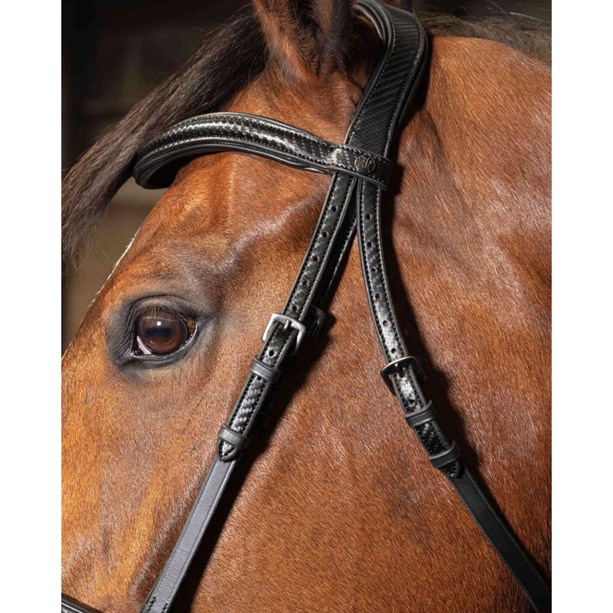 Harry's Horse Bride Soft Carbon Black Edition Noir