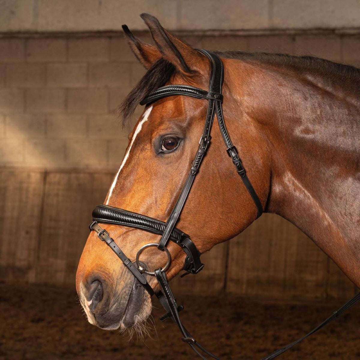 Harry's Horse Bride Soft Carbon Black Edition Noir