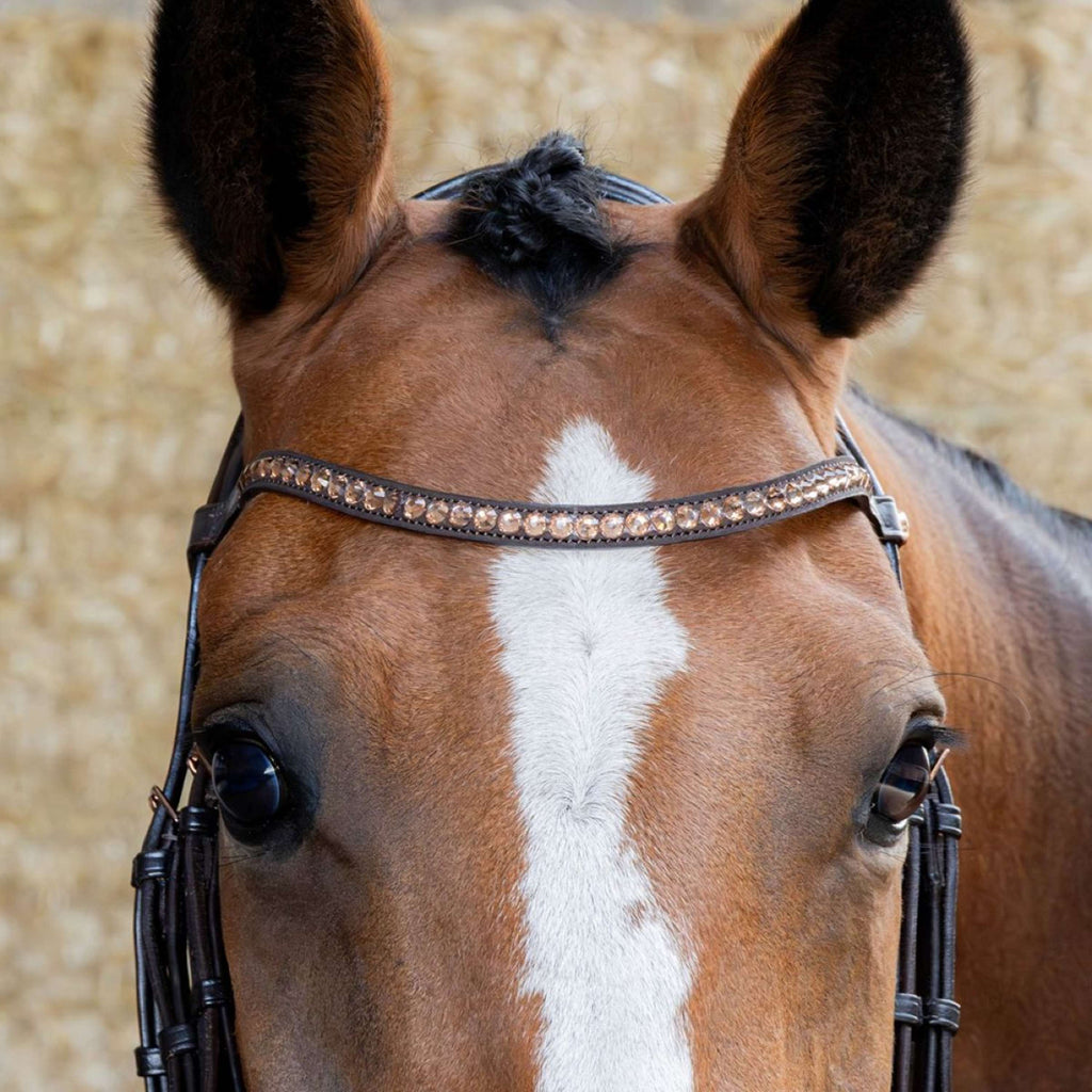 Harry's Horse Bride Copper Marron