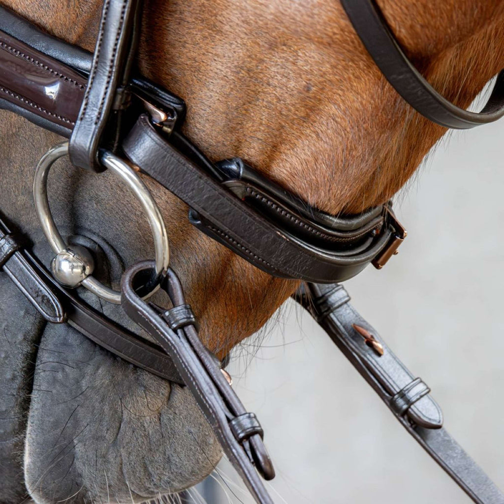 Harry's Horse Bride Copper Marron