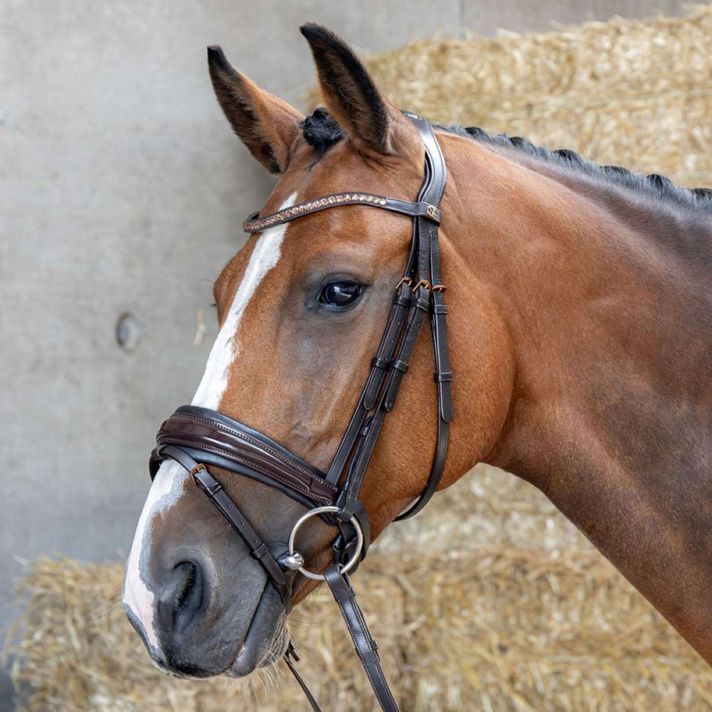 Harry's Horse Bride Copper Marron