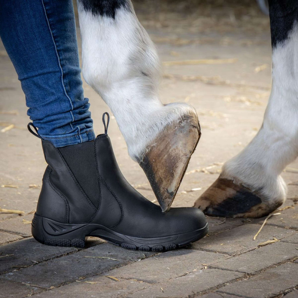 Harry's Horse Chaussures d'Écurie Leder Safety Steel Toe Noir