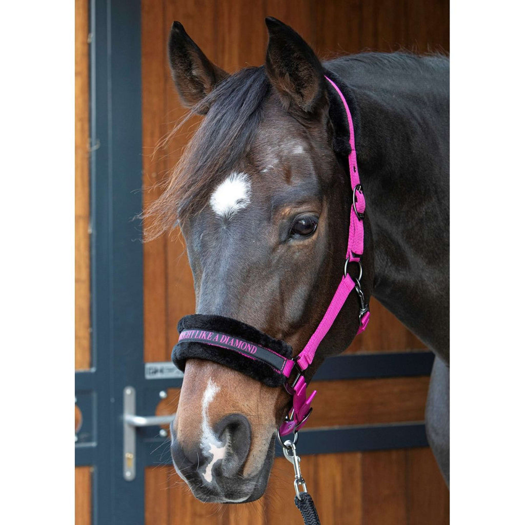 Harry's Horse Licol Lyrics Quotes Fuchsia