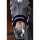 Paroles et citations de Harry's Horse Halter Lila