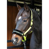 Harry's Horse Licol Lyrics Quotes Limette