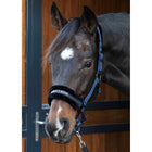 Harry's Horse Licol Lyrics Quotes Marin