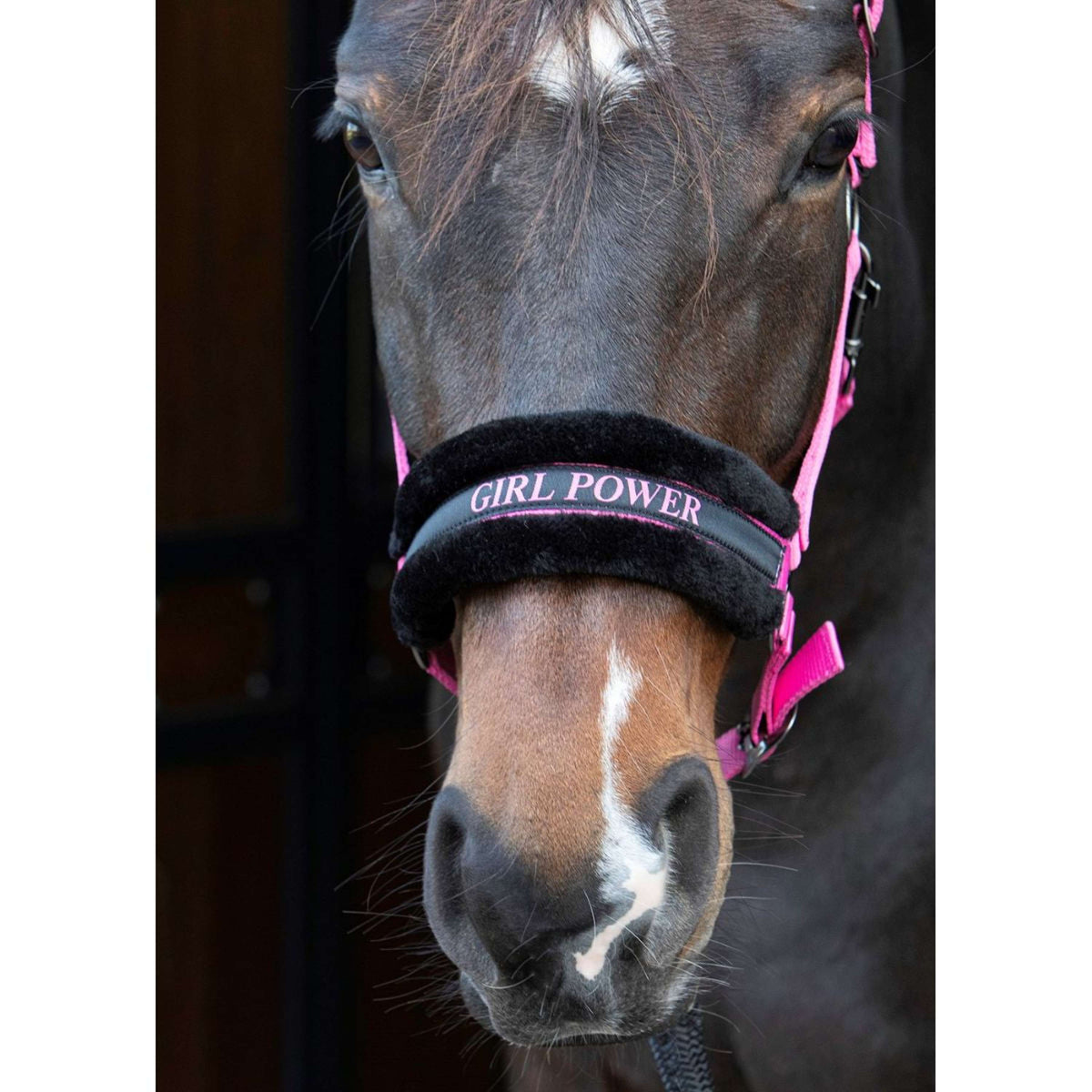 Paroles et citations de Harry's Horse Halter Rose