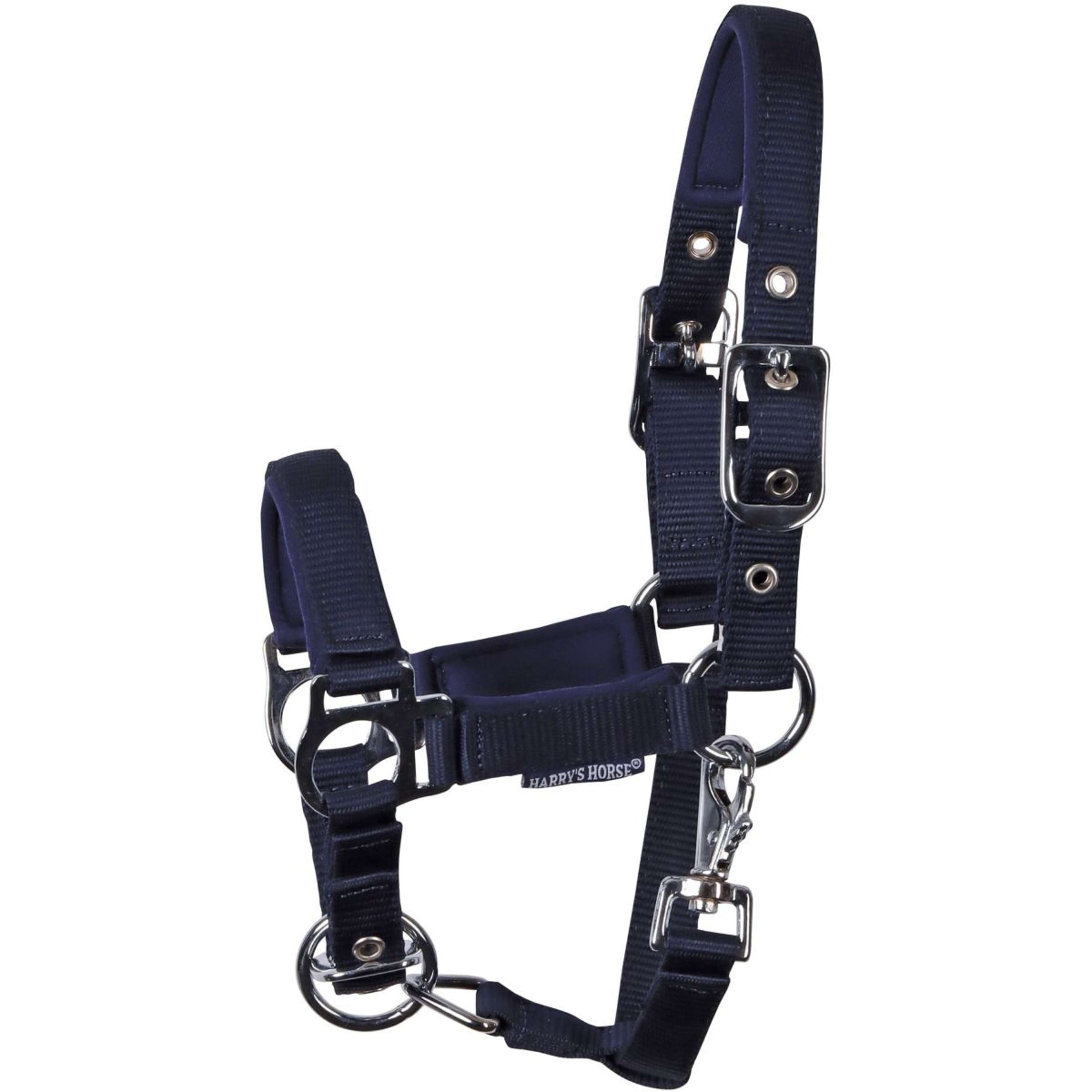 Harry's Horse Licol pour Poulain Padded Marin Harry's Horse Licol pour Poulain Padded Marin