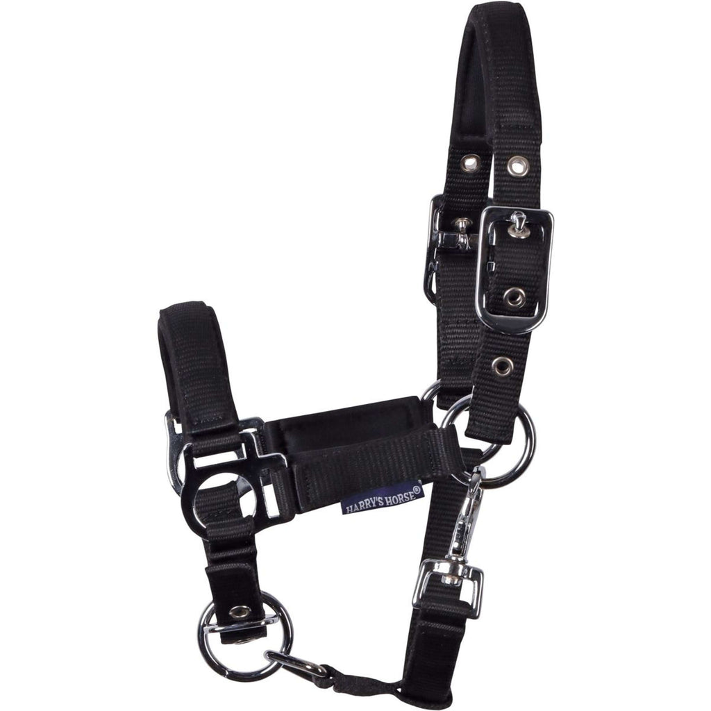 Harry's Horse Licol pour Poulain Padded Noir