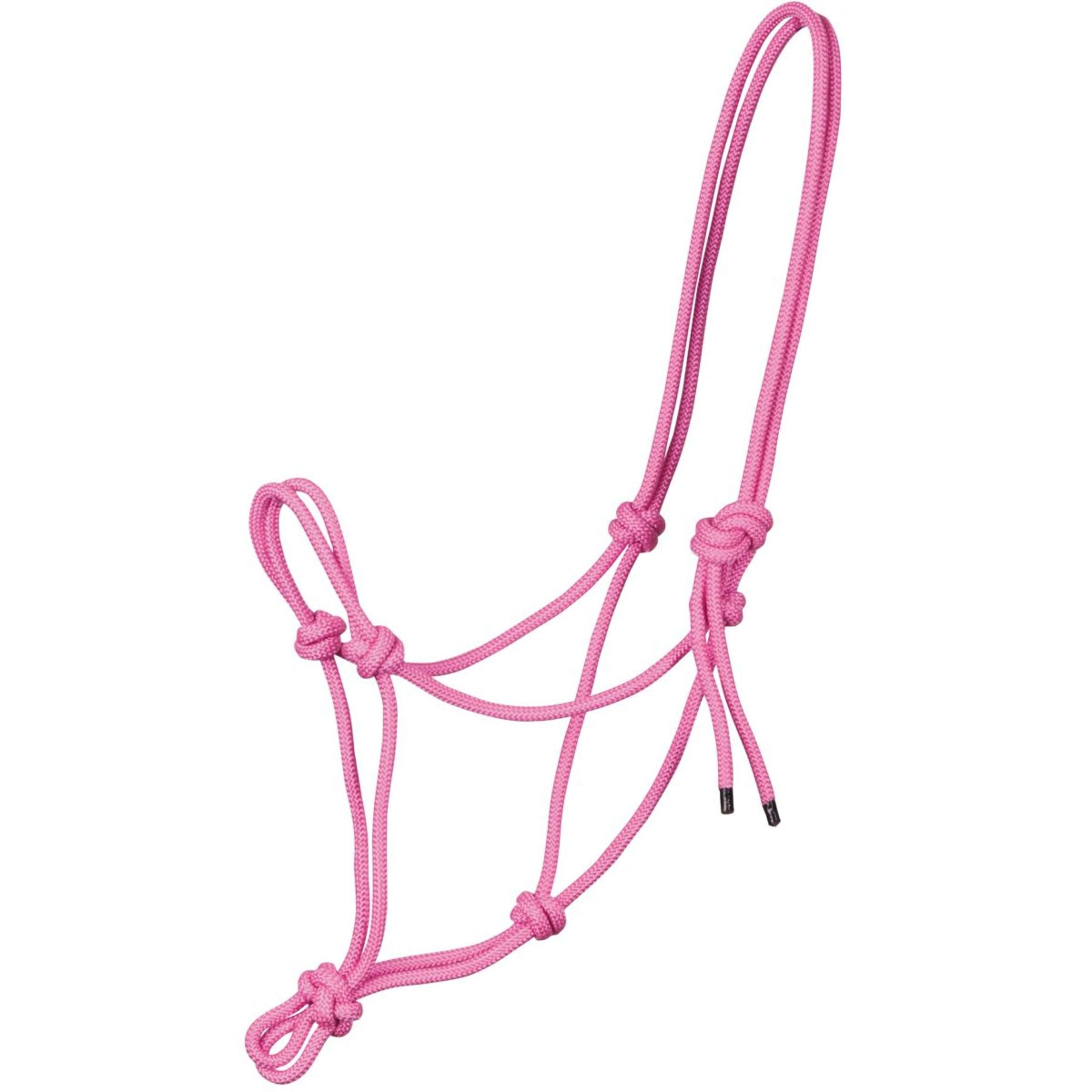 Harry's Horse Licol en Corde Rose