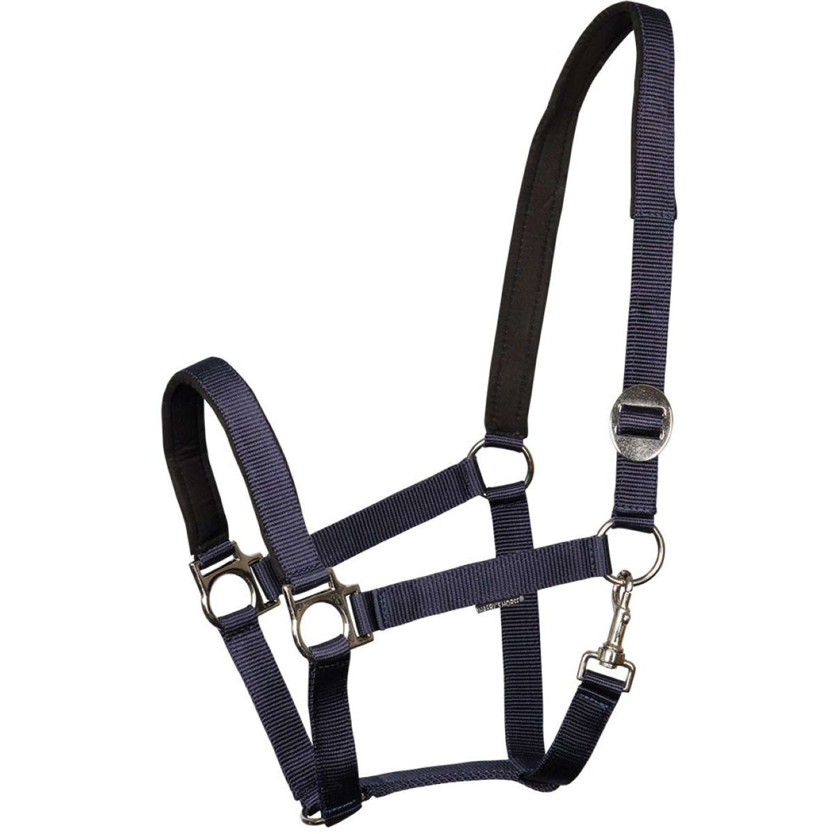 Harry's Horse Licol Padded Bleu