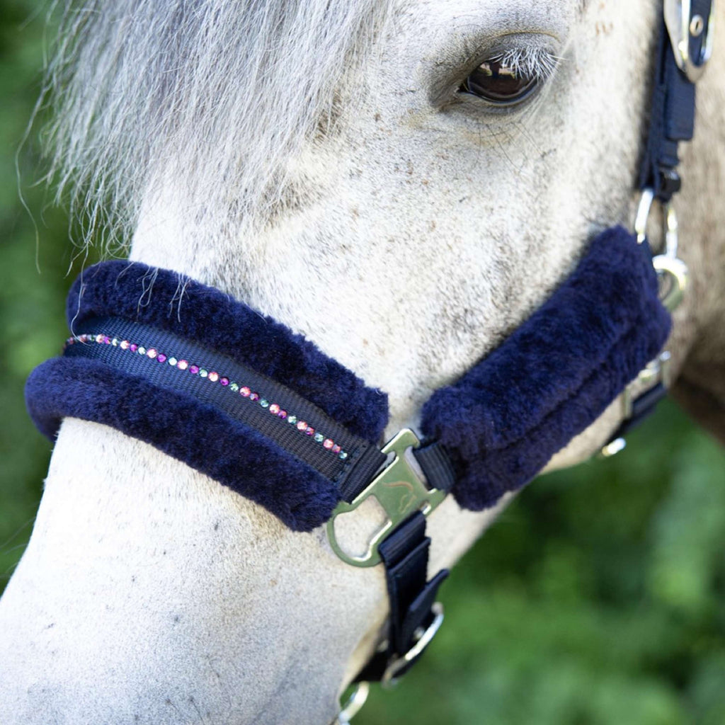 Harry's Horse Ensemble Licol Denici Cavalli Purple Passion Crystal Peacoat