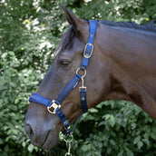 Harry's Horse Ensemble Licol Denici Cavalli Purple Passion Satin Peacoat