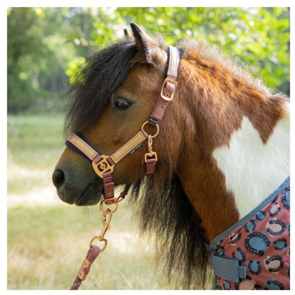 Harry's Horse Ensemble Licol Diva Mauvewood Mauvewood